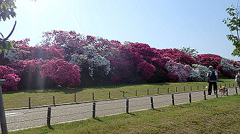 p5022974_thumb.jpg