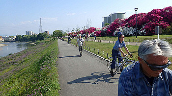 p5022975_thumb.jpg