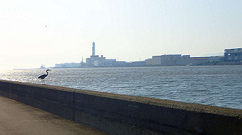 p5022983_thumb.jpg
