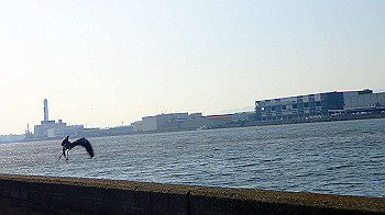 p5022984_thumb.jpg