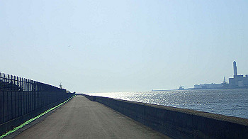 p5022986_thumb.jpg