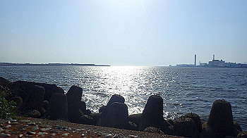 p5022987_thumb.jpg