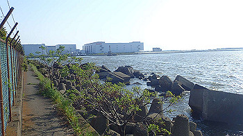 p5022988_thumb.jpg