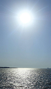 p5022989-1_thumb.jpg