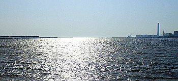 p5022990-1_thumb.jpg