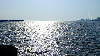 p5022990_thumb.jpg
