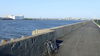 p5022991_thumb.jpg