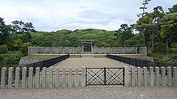 p5033009_thumb.jpg