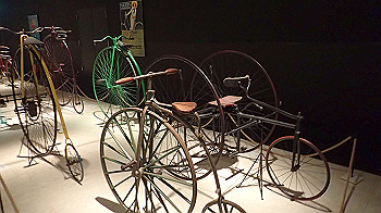p5033012_thumb.jpg