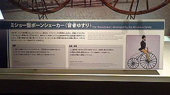 p5033015_thumb.jpg
