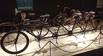 p5033019_thumb.jpg