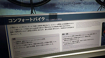 p5033029_thumb.jpg