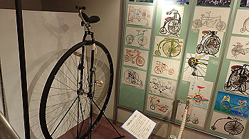 p5033046_thumb.jpg