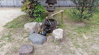 p5033055_thumb.jpg