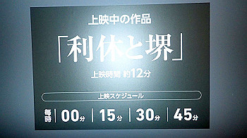 p5033080_thumb.jpg