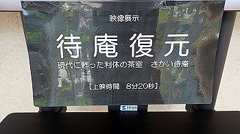 p5033082_thumb.jpg