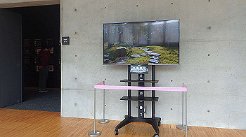 p5033083_thumb.jpg