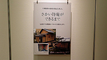 p5033084_thumb.jpg