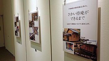 p5033085_thumb.jpg