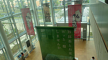 p5033089_thumb.jpg
