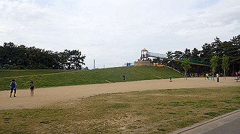 p5033104_thumb.jpg