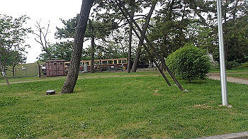 p5033105_thumb.jpg