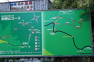 p5062690_thumb.jpg