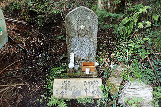 p5062697_thumb.jpg