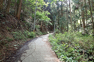 p5062698_thumb.jpg