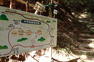 p5062701_thumb.jpg