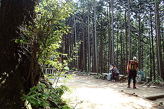 p5062709_thumb.jpg