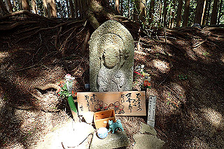 p5062713_thumb.jpg