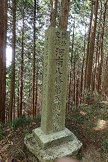 p5062718_thumb.jpg