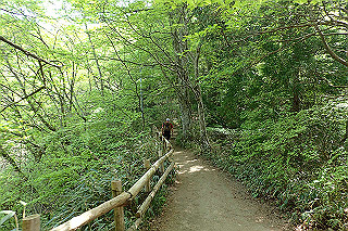p5062719_thumb.jpg