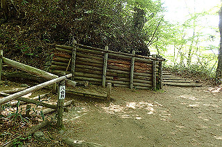 p5062722_thumb.jpg
