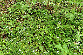 p5062730_thumb.jpg