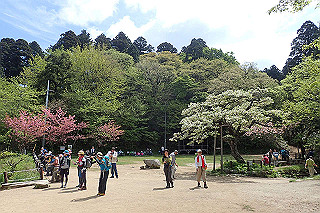 p5062736_thumb.jpg