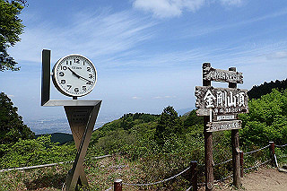 p5062737_thumb.jpg