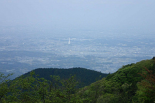 p5062746_thumb.jpg