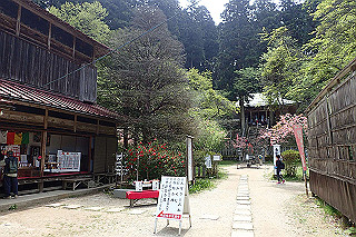 p5062748_thumb.jpg