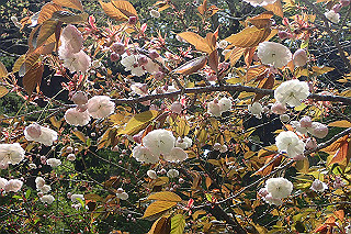 p5062761_thumb.jpg