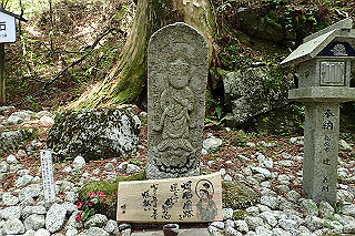 p5062766_thumb.jpg