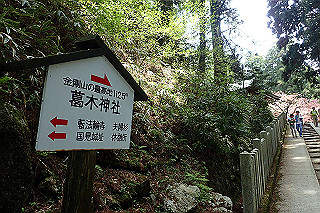 p5062767_thumb.jpg