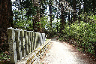 p5062775_thumb.jpg