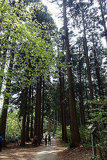 p5062776_thumb.jpg