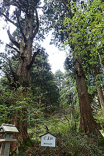 p5062777_thumb.jpg