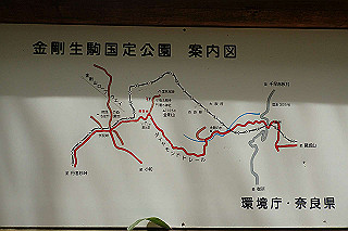 p5062781_thumb.jpg