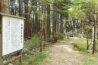 p5062782_thumb.jpg