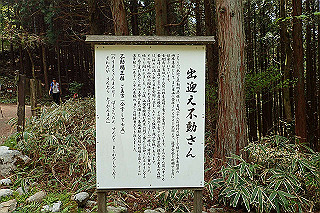 p5062783_thumb.jpg