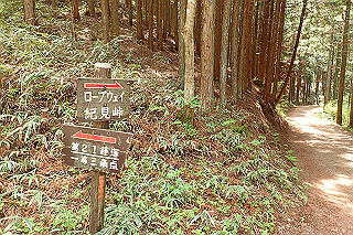 p5062784_thumb.jpg